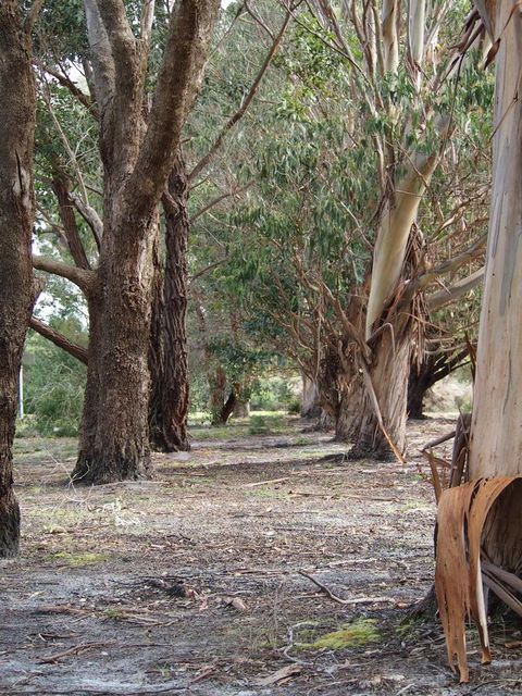 Riverside Retreat Chalets, Walpole - Stayed 16