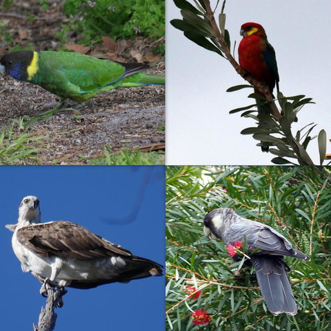 Riverside Retreat Chalets, Walpole - Stayed 24