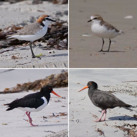 Riverside Retreat Chalets, Walpole - Stayed 25