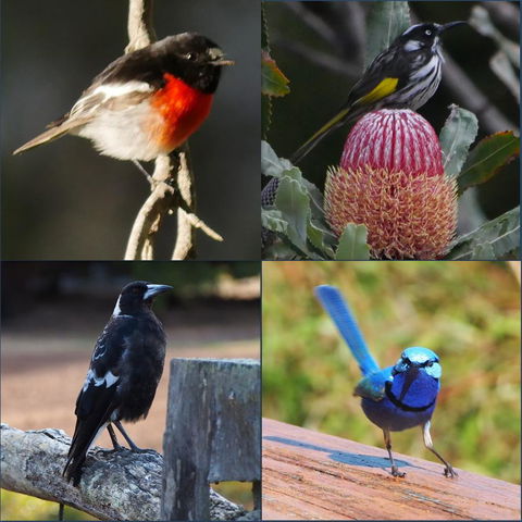 Riverside Retreat Chalets, Walpole - Stayed 23