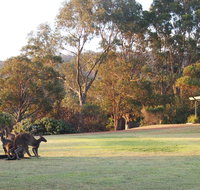 Riverside Retreat Chalets Walpole - Stays Accommodation