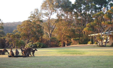 Riverside Retreat Chalets, Walpole - Stayed 0