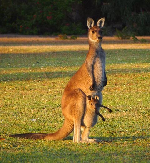 Riverside Retreat Chalets, Walpole - Stayed 21