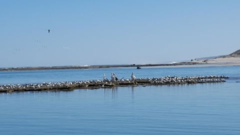 Kalbarri Seaview Villas - Stayed 33