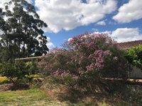 Book Cockburn Central Accommodation Vacations Stayed Stayed