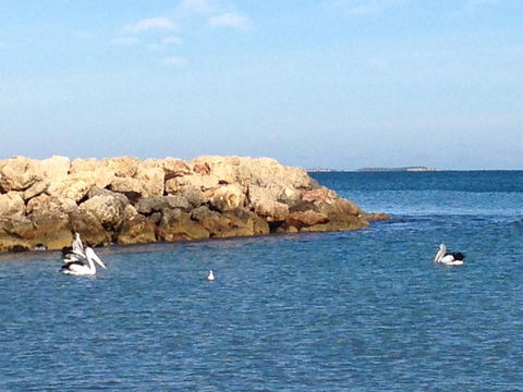 Gypsy Cottage - Stayed 13