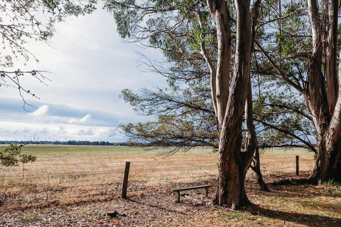 Margaret River Holiday Cottages - Stayed 22