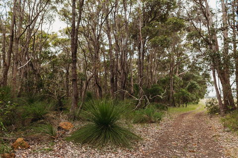 Margaret River Holiday Cottages - Stayed 31