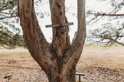 Margaret River Holiday Cottages - Stayed 20