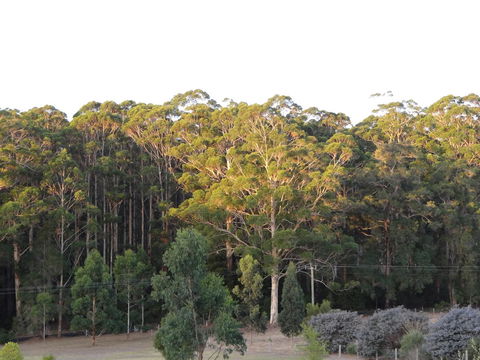 Big Brook Retreat - Stayed 11
