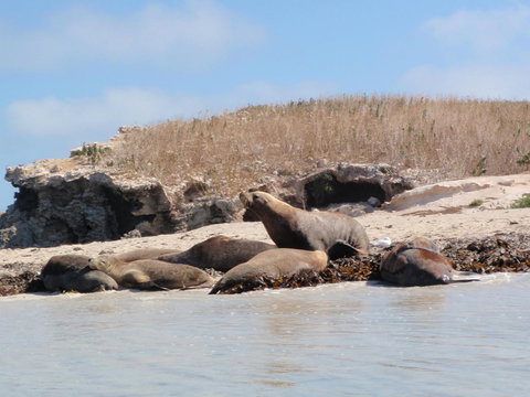 Island View Villas - Stays Accommodation 14