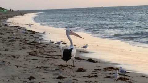 Island View Villas - Stays Accommodation 17