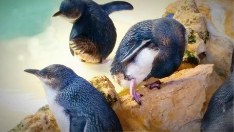 Island View Villas - Stays Accommodation 21