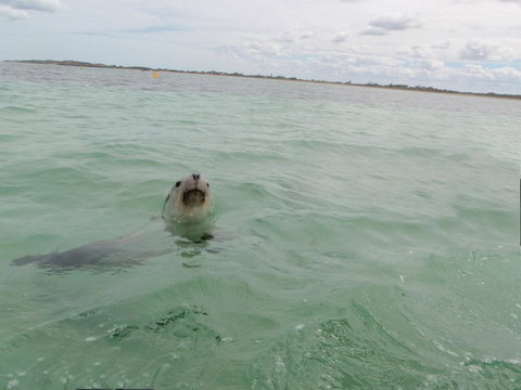 Island View Villas - Stays Accommodation 13