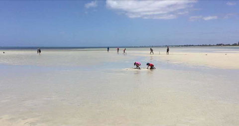 Beach House Dunsborough - Stayed 22
