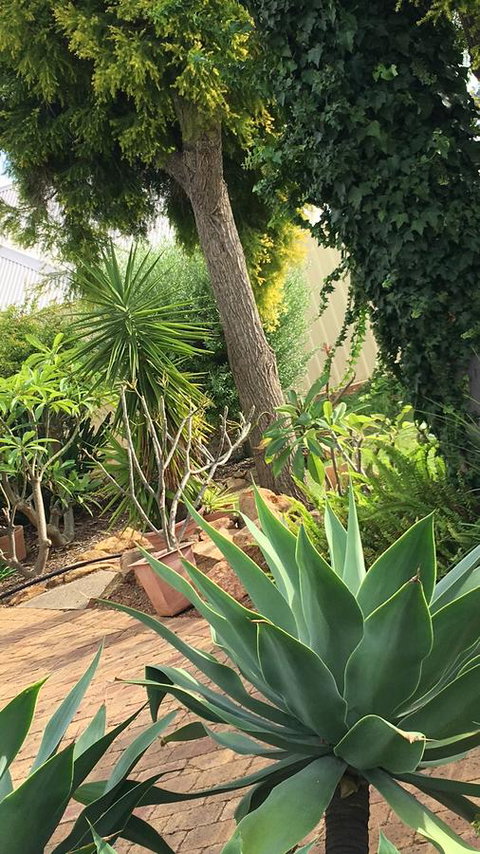 Armadale Cottage Bed & Breakfast - Stays Accommodation 1