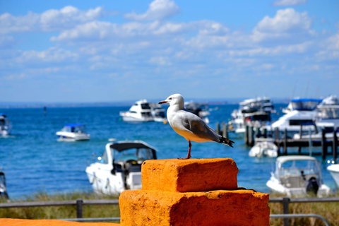 Palms Bed & Breakfast - Stayed 25