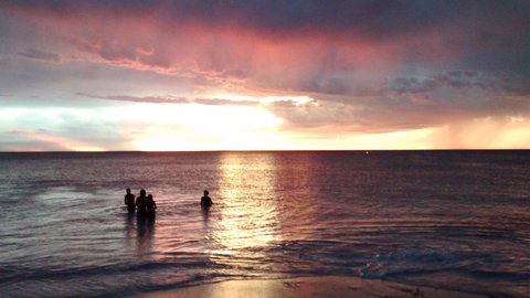 Palms Bed & Breakfast - Stayed 24