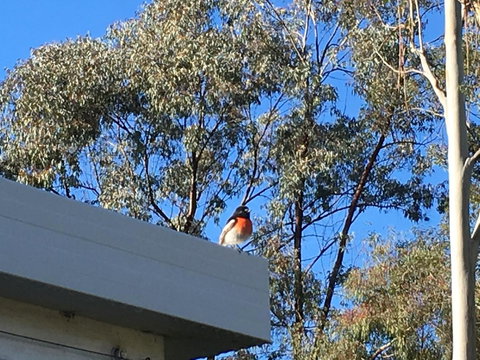 Applegate Lane Chalet - Stayed 27