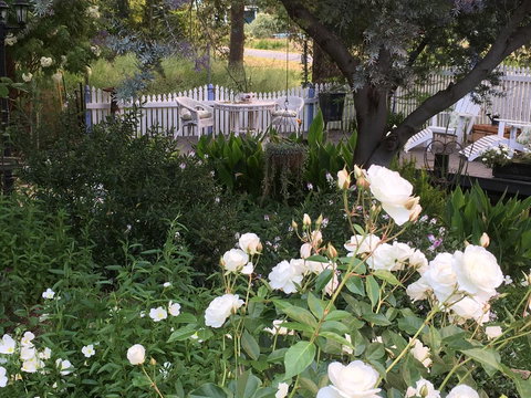 Applegate Lane Chalet - Stayed 22