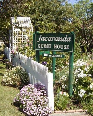 Jacaranda Guest House - Stayed 43
