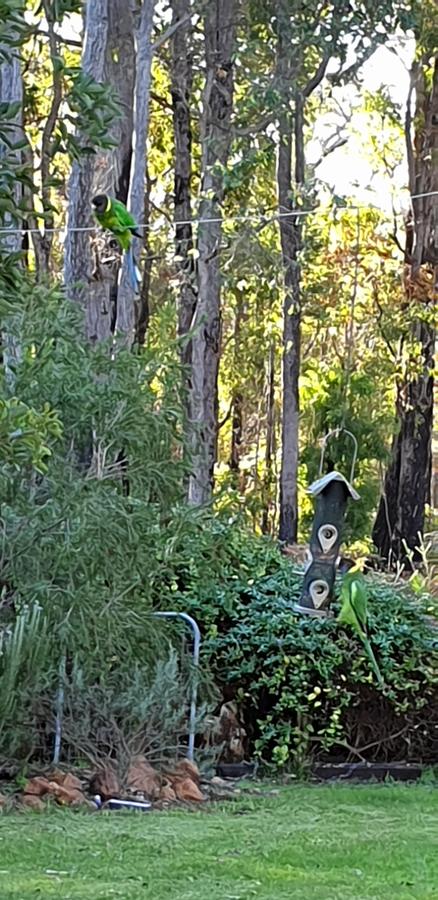 Di's Cabin In Dwellingup - Stayed 6