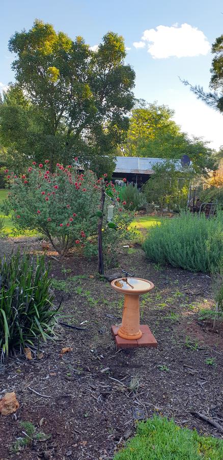 Di's Cabin In Dwellingup - Stayed 14
