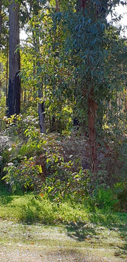 Di's Cabin In Dwellingup - Stayed 8