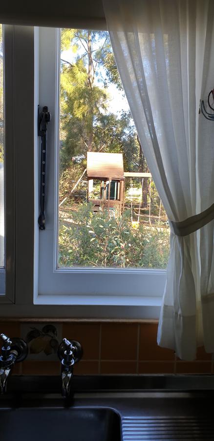 Di's Cabin In Dwellingup - Stayed 15