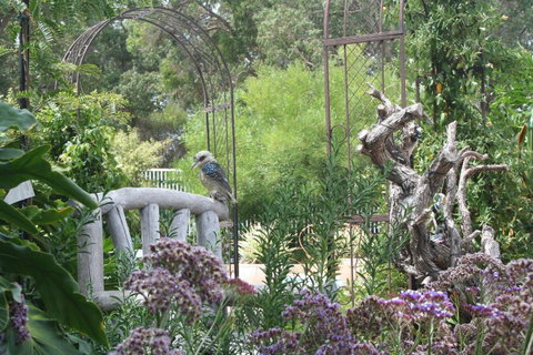 Rosebridge House Bed & Breakfast Adult Retreat - Stays Accommodation 12