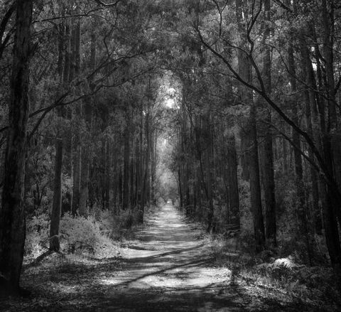 Indoyo Retreat - Stayed 40