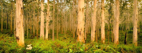 Indoyo Retreat - Stayed 34