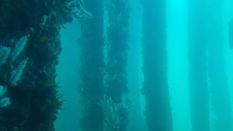 Indoyo Retreat - Stayed 28