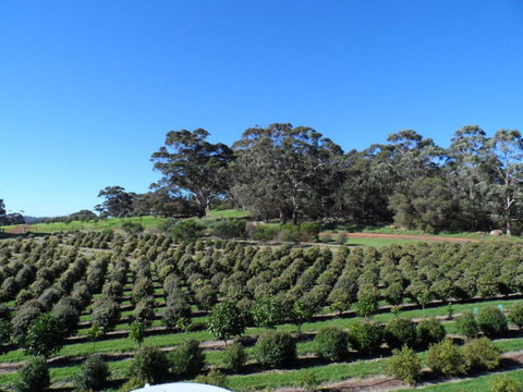 Tennessee Hill Chalets - Stayed 15