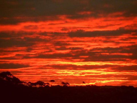 Tennessee Hill Chalets - Stayed 3