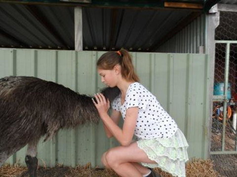 Tennessee Hill Chalets - Stayed 17