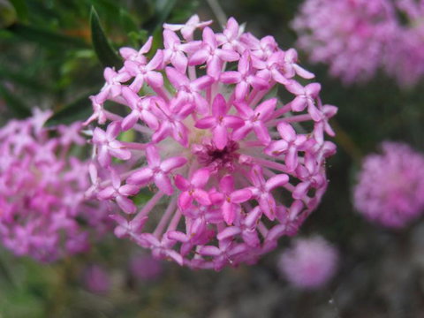 Tennessee Hill Chalets - Stayed 19