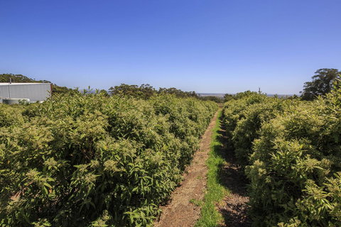 Tennessee Hill Chalets - Stayed 14