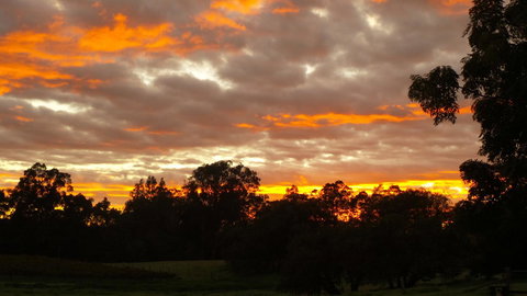 Windfall Estate Vineyard Cottage - Stayed 32