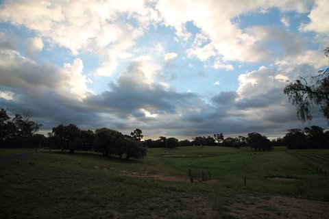 Windfall Estate Vineyard Cottage - Stayed 33