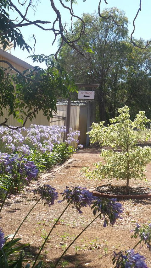 Windfall Estate Vineyard Cottage - Stayed 13