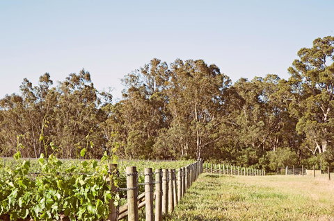 Windfall Estate Vineyard Cottage - Stayed 23