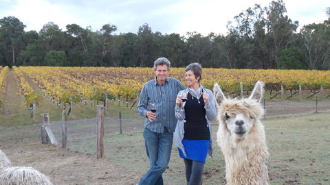 Windfall Estate Vineyard Cottage - Stayed 11