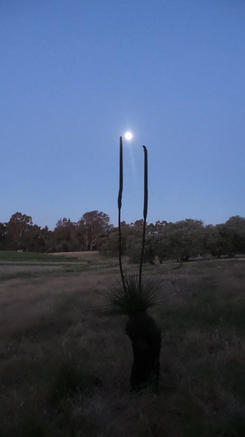 Windfall Estate Vineyard Cottage - Stayed 22