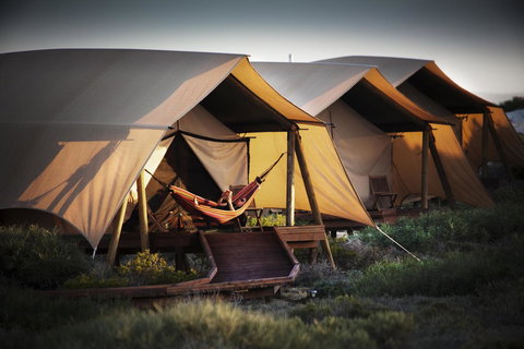 Sal Salis Ningaloo Reef - Stays Accommodation 23