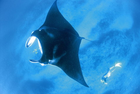 Sal Salis Ningaloo Reef - Stays Accommodation 28