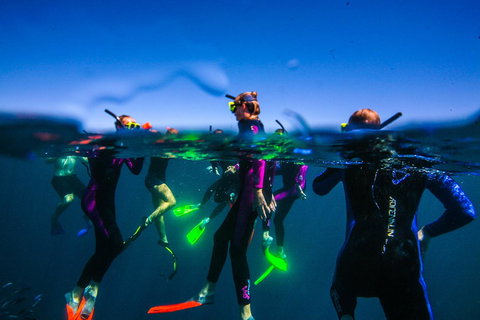 Sal Salis Ningaloo Reef - Stays Accommodation 26