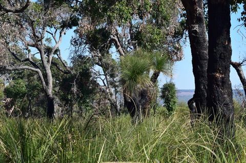 Eagle Bay House - Stayed 32