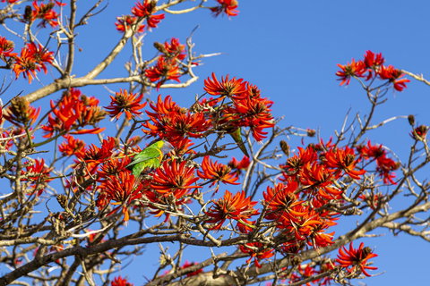 Como Executive Apartment - Stayed 19