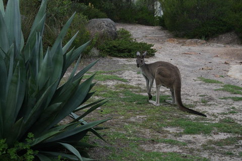 Aqua Views - Stayed 15